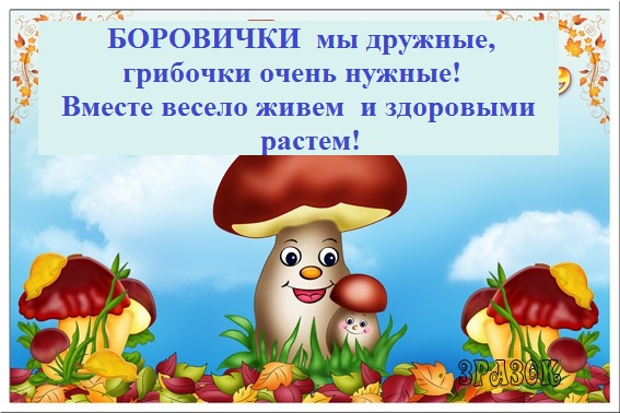 Песня грибочки. Слоган к грибочкам. Оформление группы Боровичок. Девиз грибочки. Девиз группы грибочки.