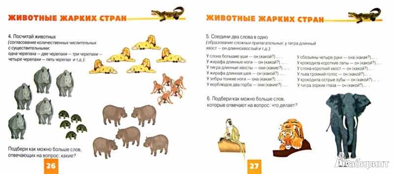 Тематическая неделя жаркие страны. Задания животные жаркие страны. Животные жарких стран задания. Животные жарких стран задания для дошкольников. Задания животные жарких стран в подготовительной группе.