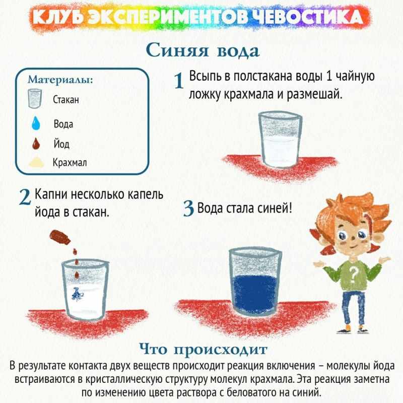 Опыт лист вода стакан с водой. Опыты для детей Чевостик. Клуб экспериментов Чевостика занимательные опыты для детей. Увлекательные опыты с водой. Опыты с Чевостиком в детском саду.