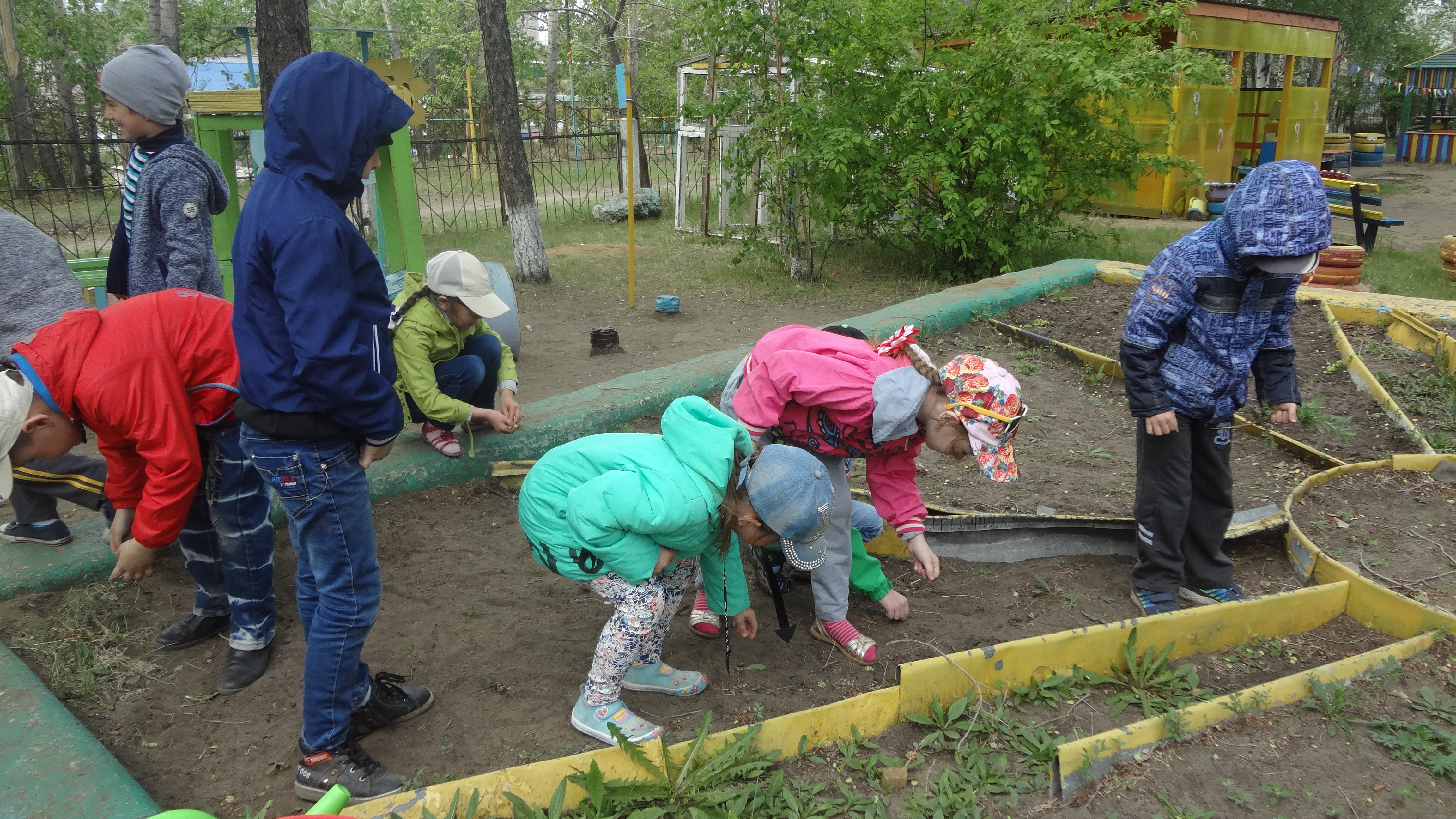 Дети посадили огород. Летний огород. Огород в лагере. Копать огород. Российский огород.