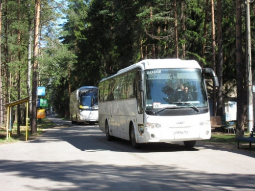 Лагерь энергетик чита фото