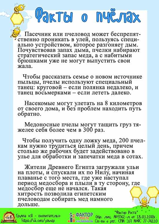 День пчелы 20 мая картинки прикольные